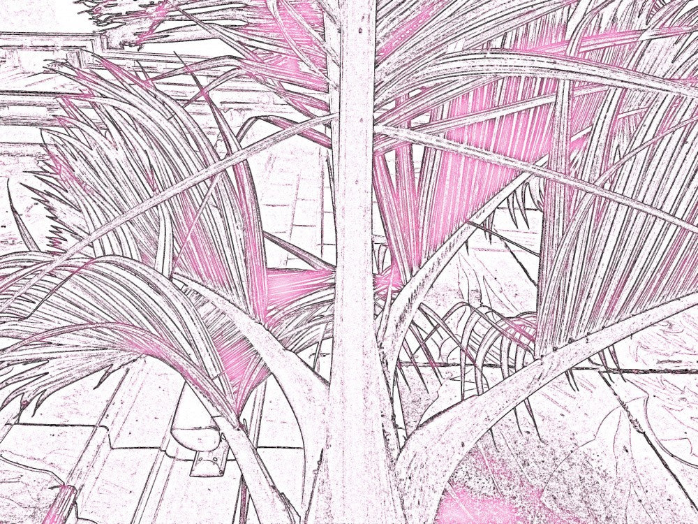 Tropical Pink Breeze