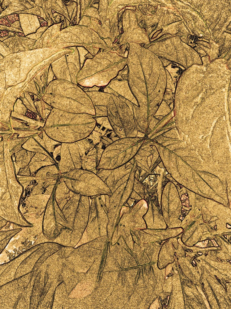 Golden Leaf Harmony