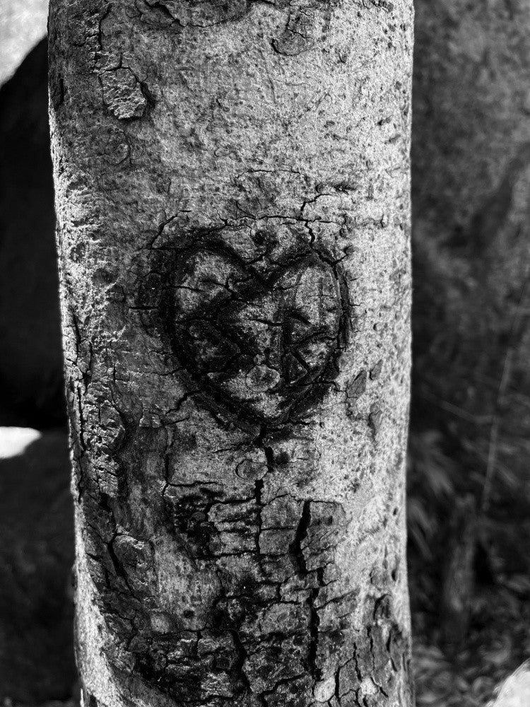 Carved Memories