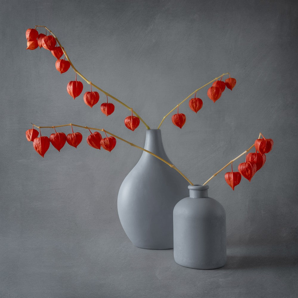 Stillleben mit Lampionblume