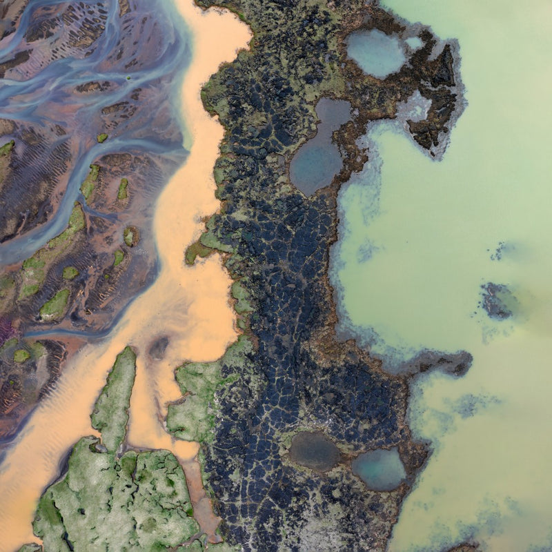 Palettes of the Shore