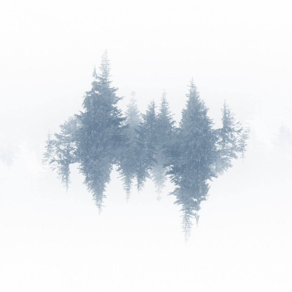 Mirrored Trees