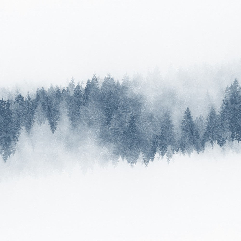 Foggy Pines