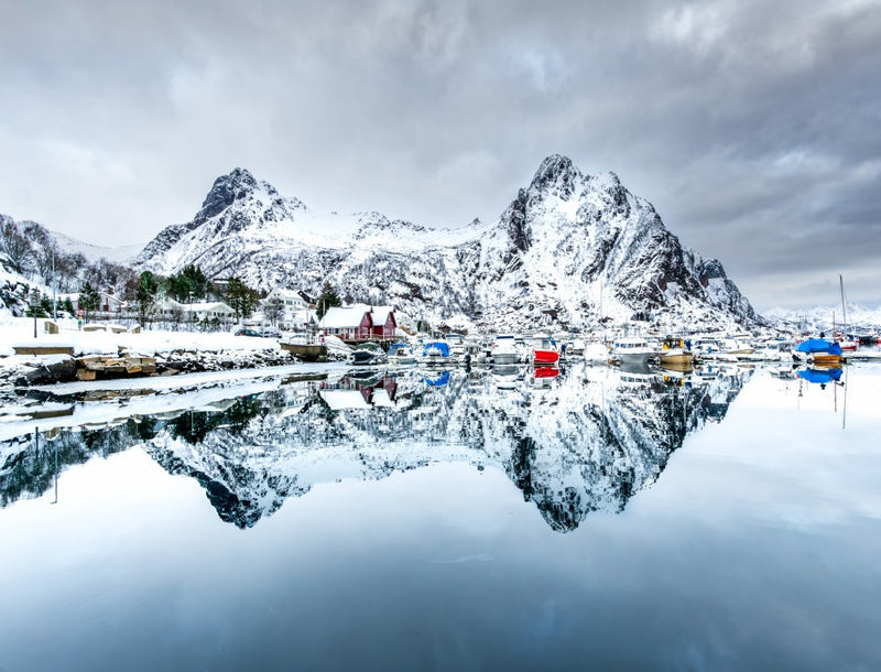 Marina reflection