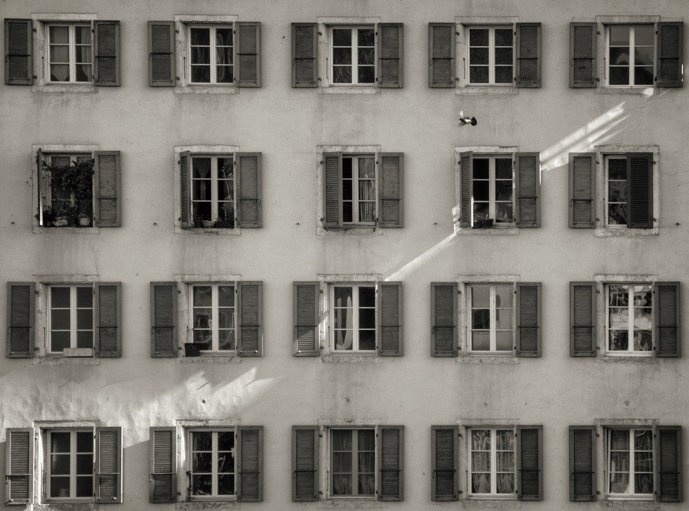 5x4+1 pigeon