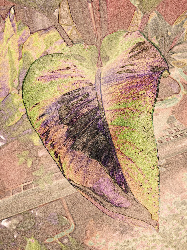 Leafy Dreams