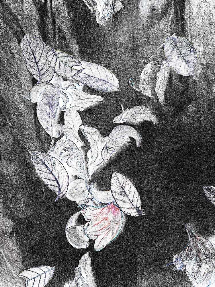 Feuilles Murmurantes