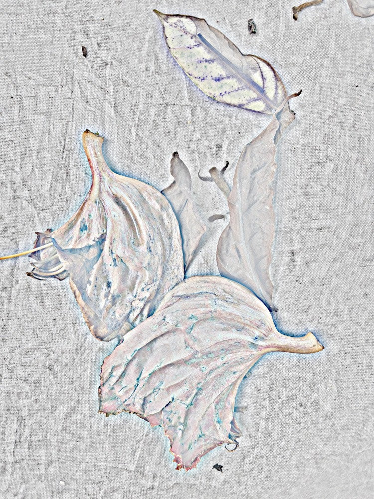 Ethereal Petals