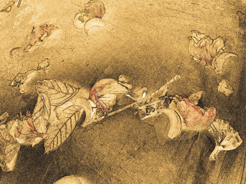 Petals in Sepia