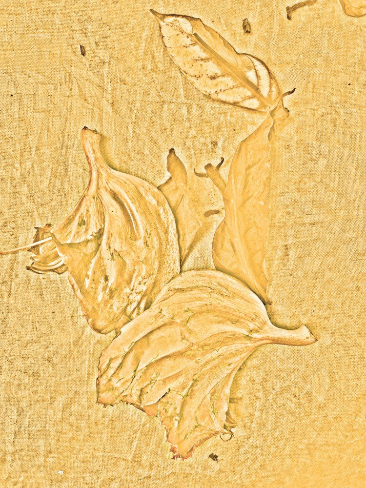 Golden Leaf Imprint