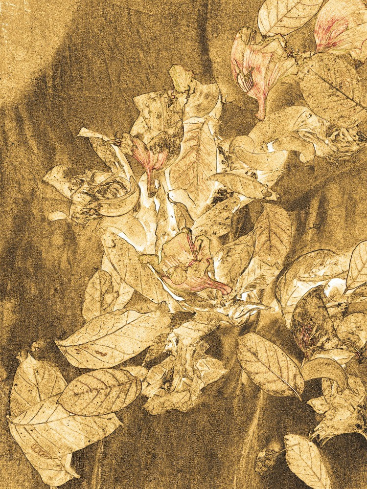 Sepia Blooming