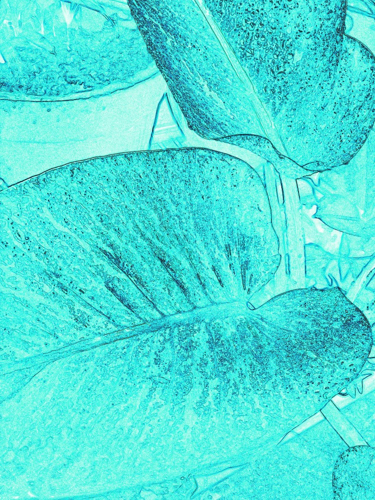 Turquoise Leaves