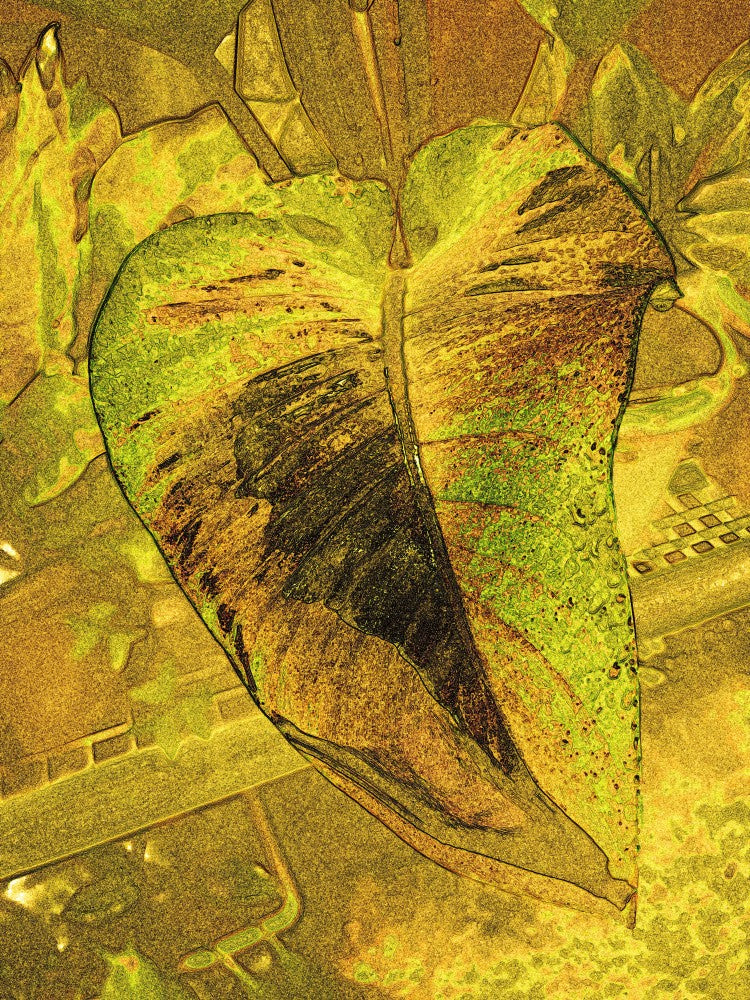Golden Leaf Harmony