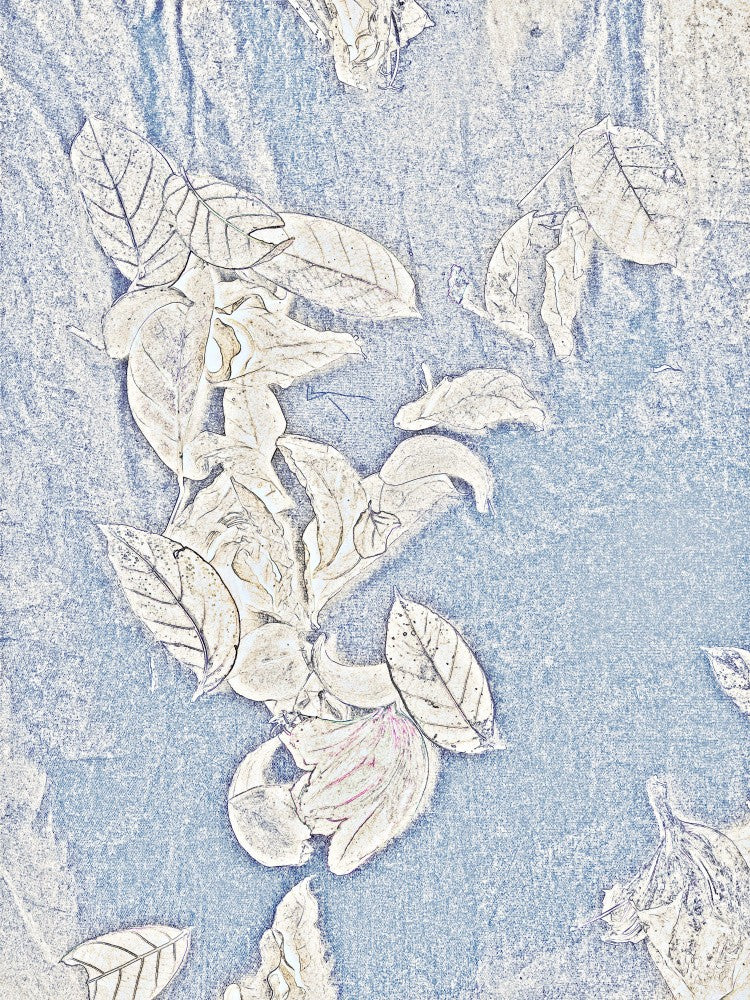 Frosted Leaves Ballet