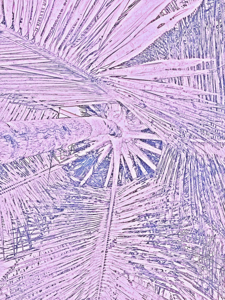 Pastel Palm Dream