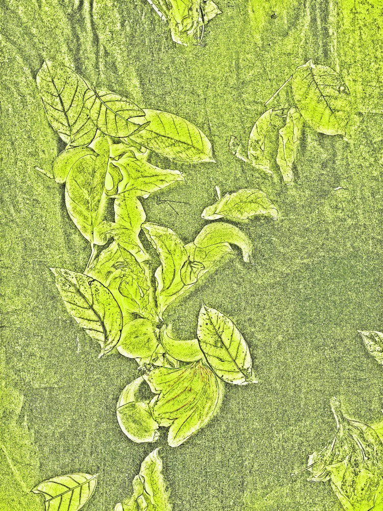 Emerald Leaf Dance
