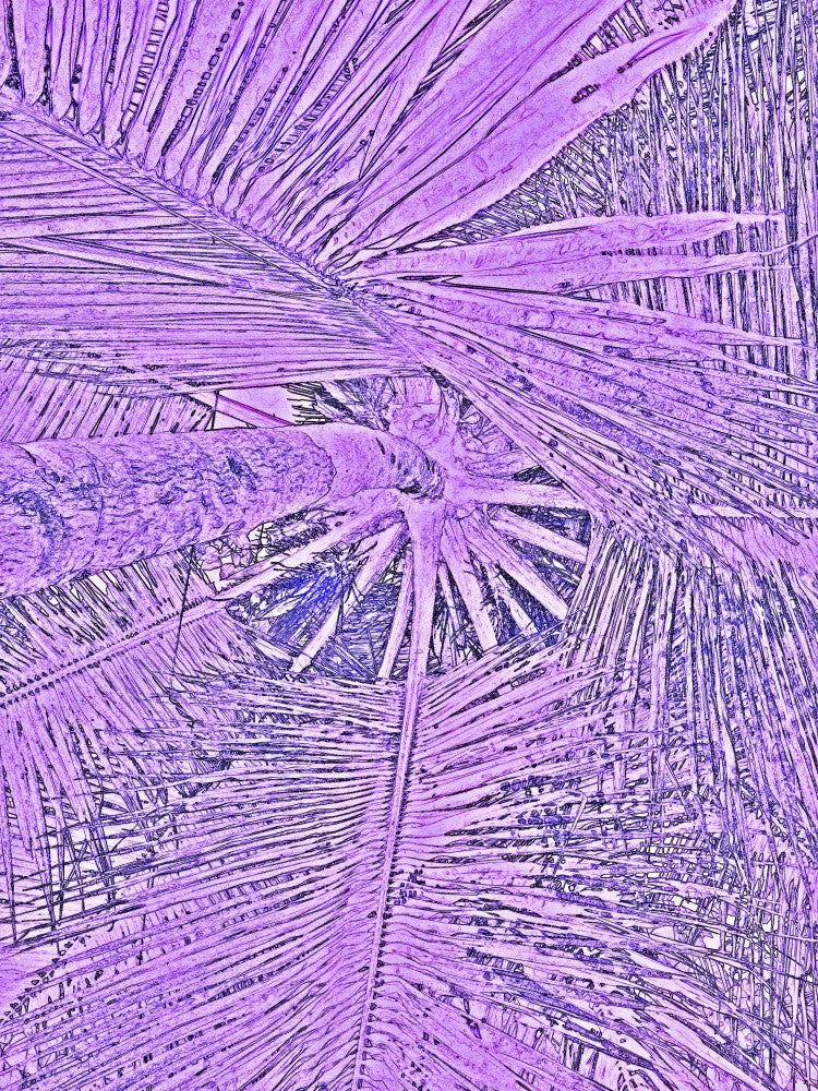 Purple Palm Dreams