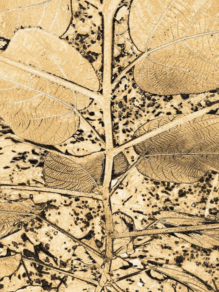 Golden Leaf Patterns