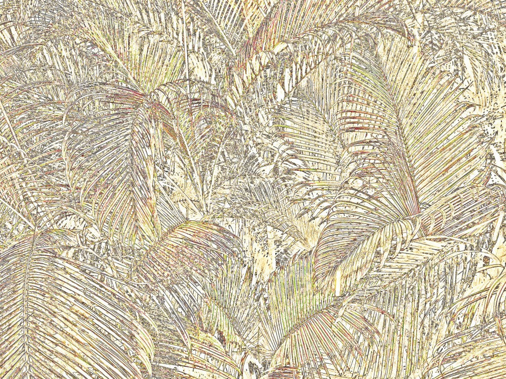 Dappled Palm Dream
