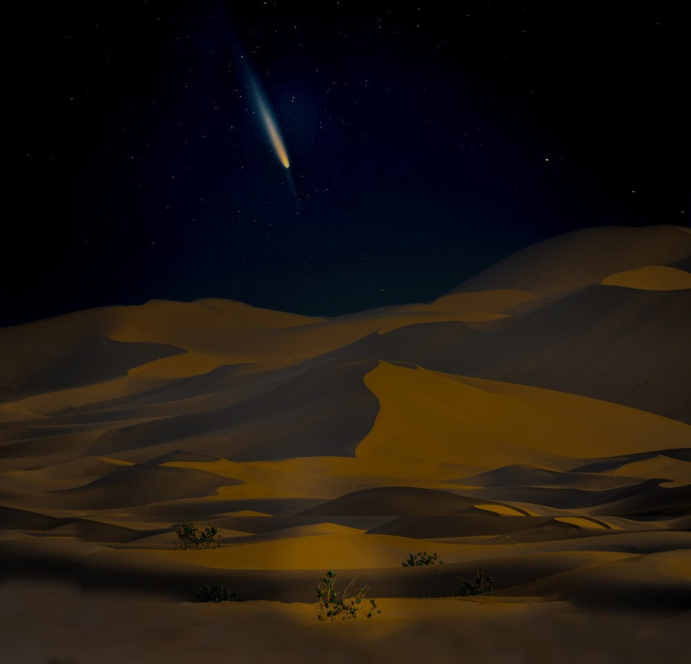 The stars are shining tonight.