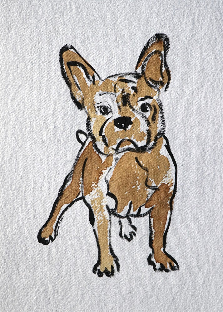 Bulldog Portraiture