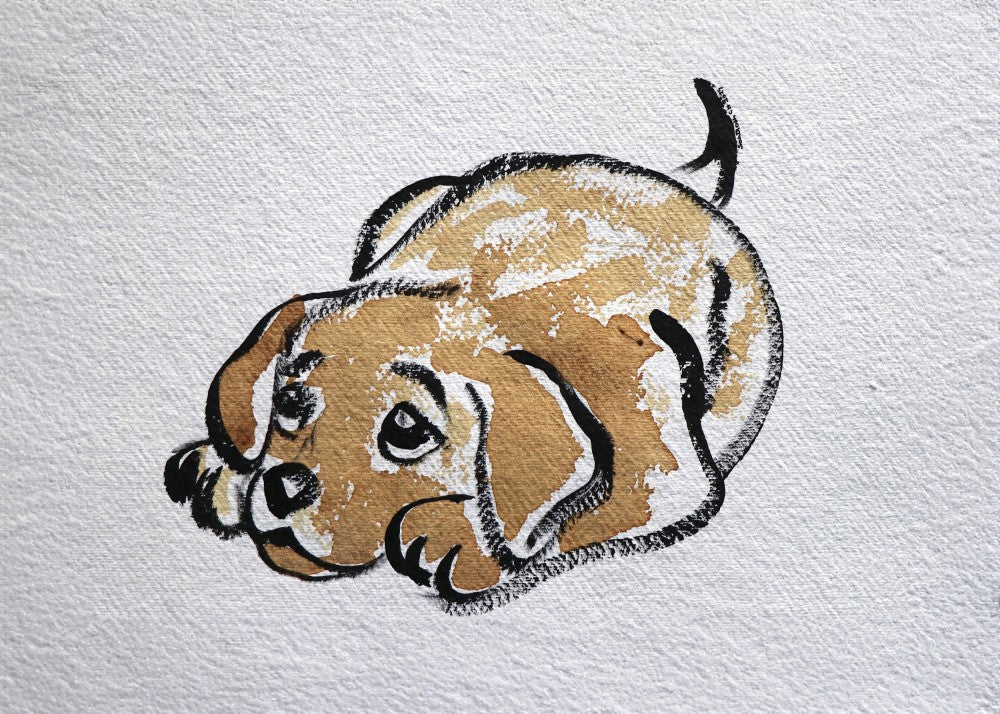 Puppy's Restful Pose