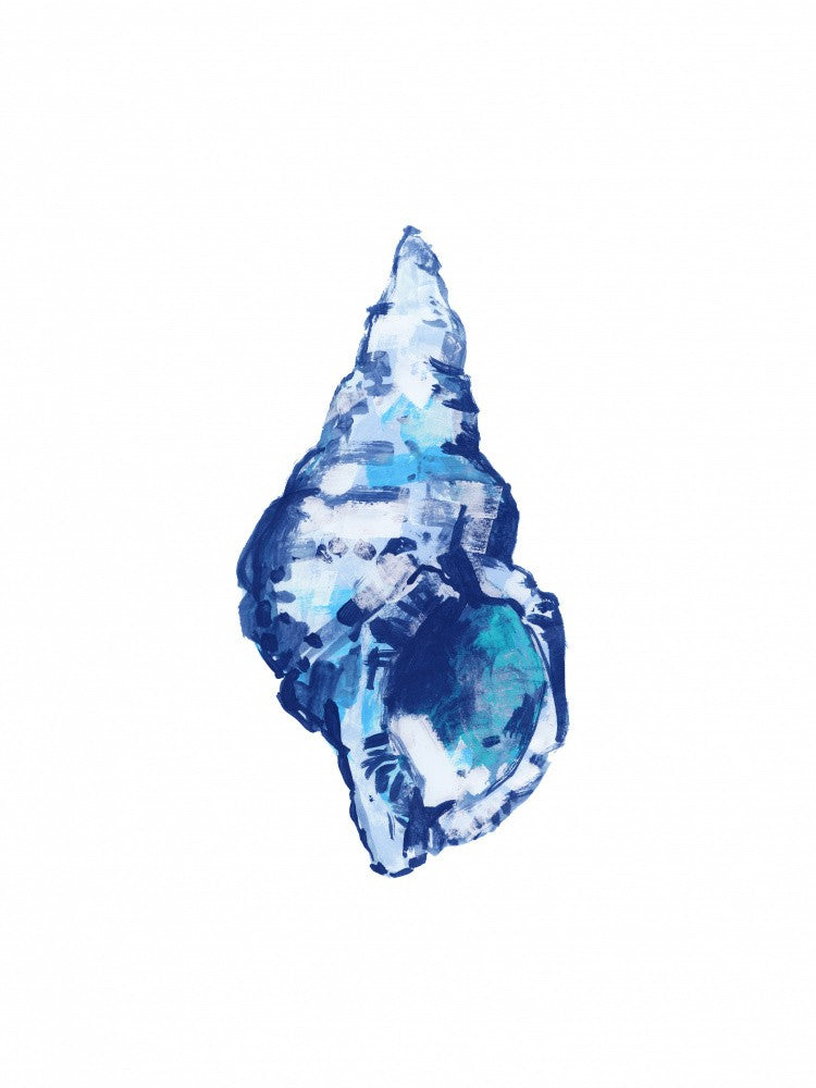 Blue Seashell On White Background No 2