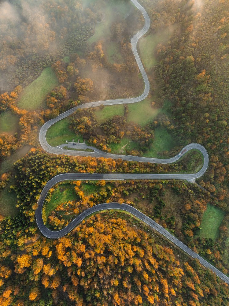 Kačje ride