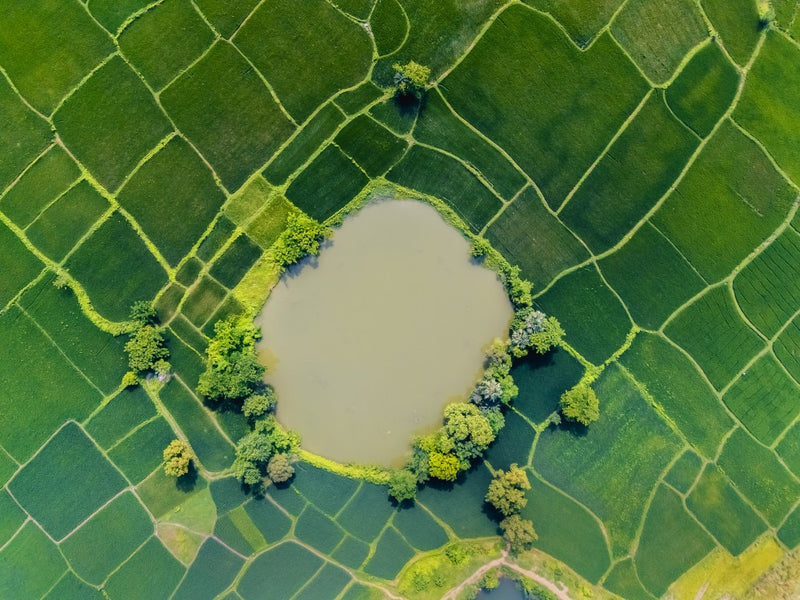 Green Earth
