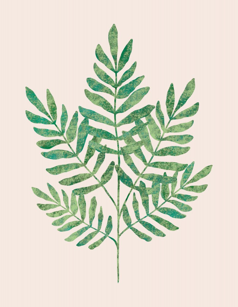 Indie Fern Frond