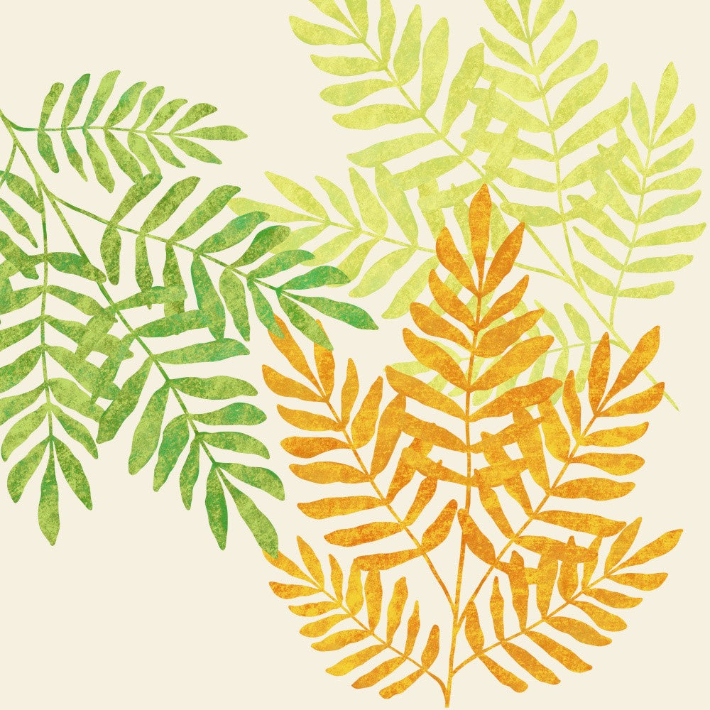 Indie Fern Trio