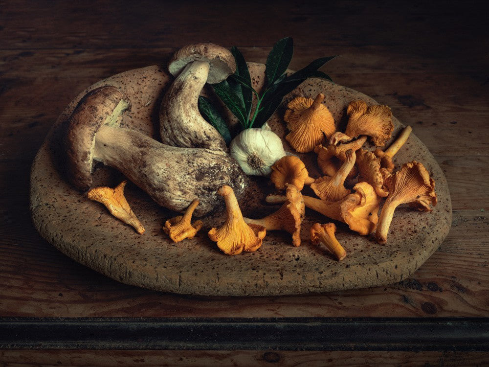 Still life with Mushrooms