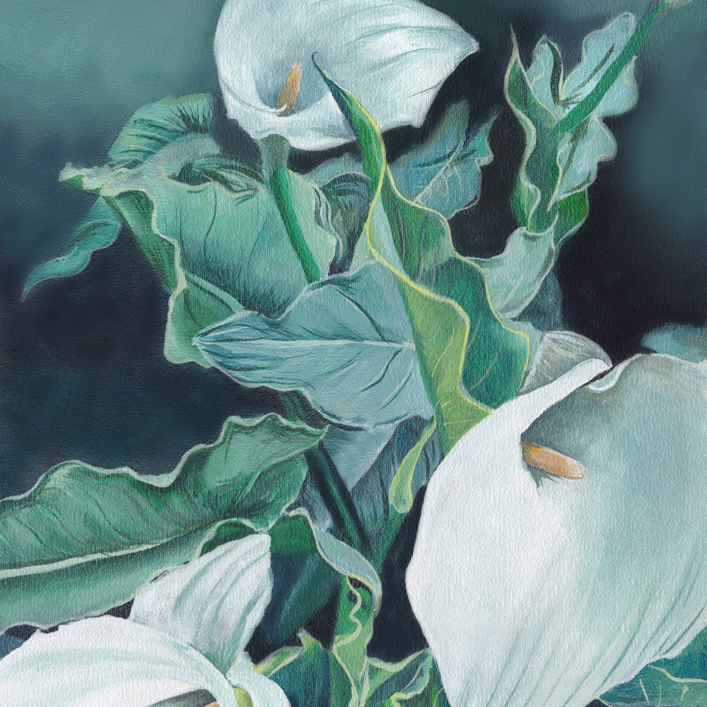 South African Arum 1 By Viccy Wanliss