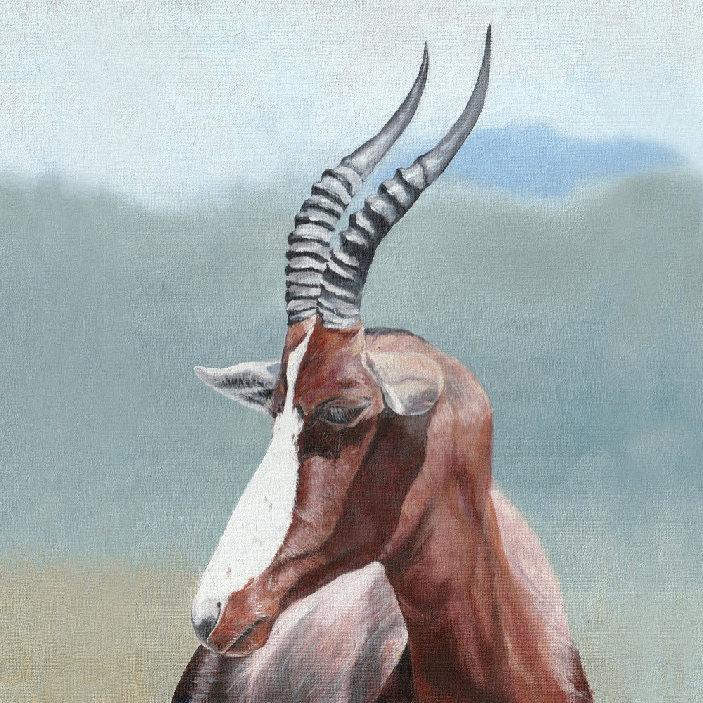 Bontebok von Viccy Wanliss