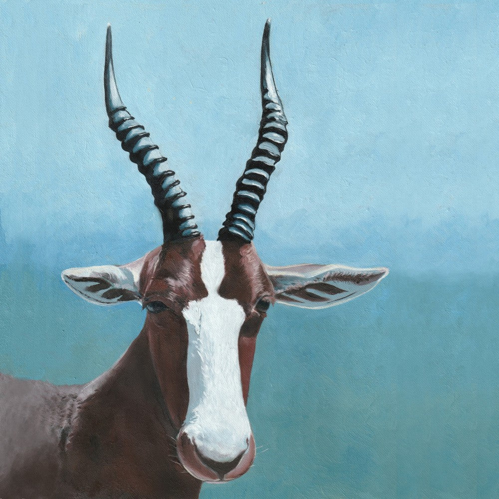 Bontebokkie 1 von Viccy Wanliss