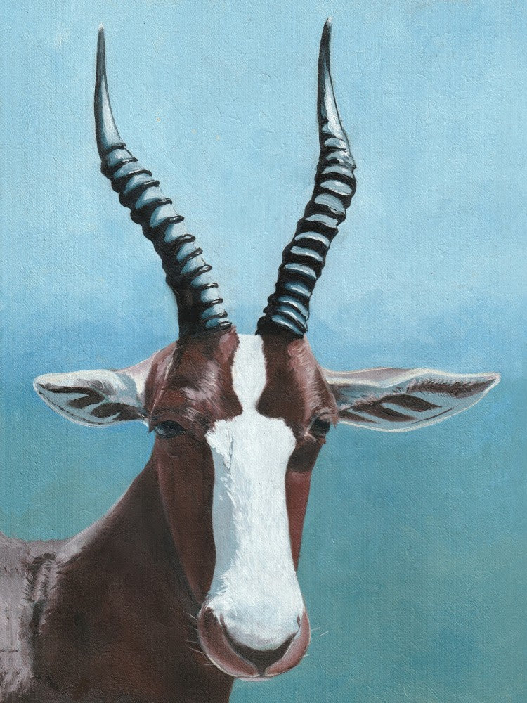 Bontebokkie 1 By Viccy Wanliss