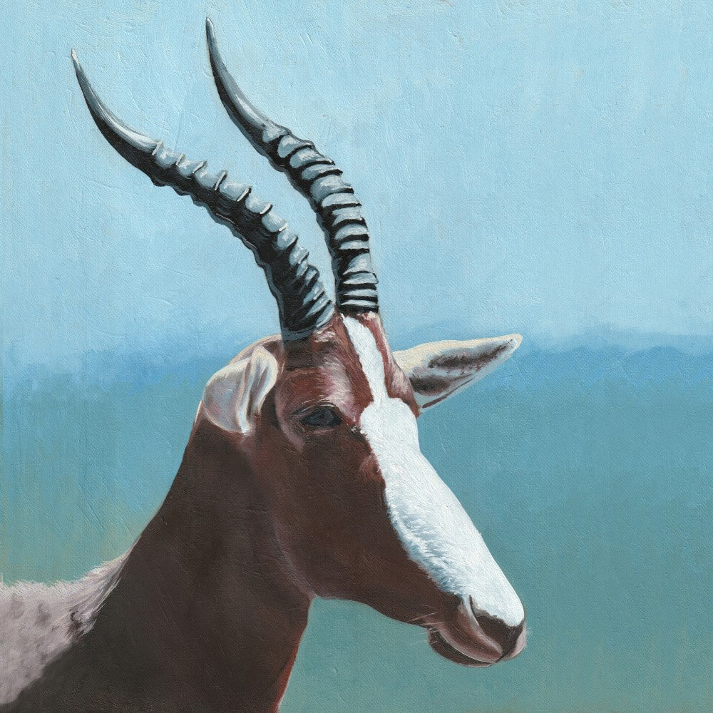 Bontebokkie 2 By Viccy Wanliss