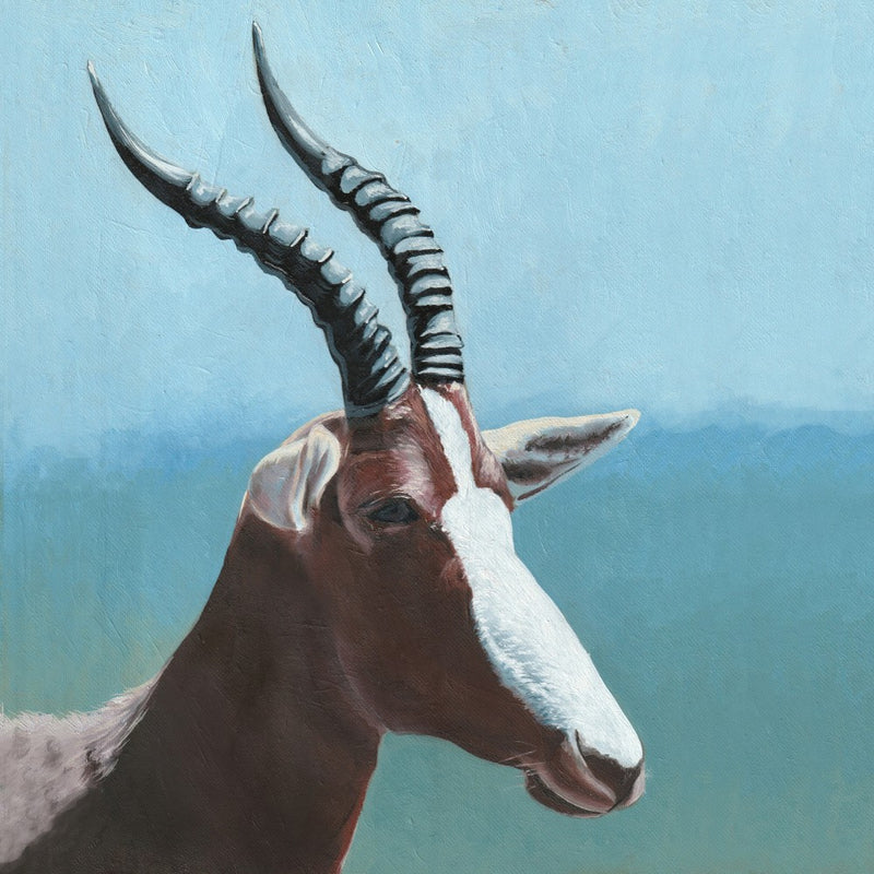 Bontebokkie 2 By Viccy Wanliss