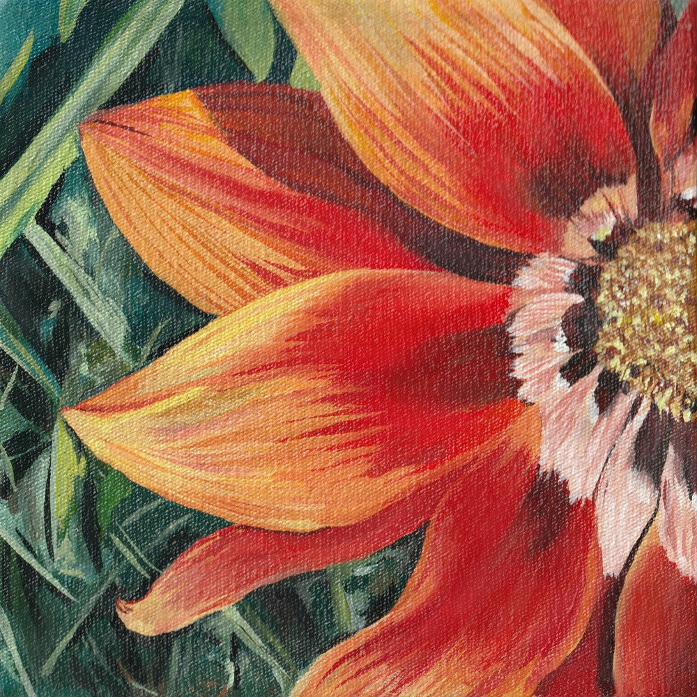 Gazania 1 By Viccy Wanliss