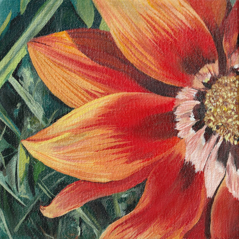 Gazania 1 By Viccy Wanliss
