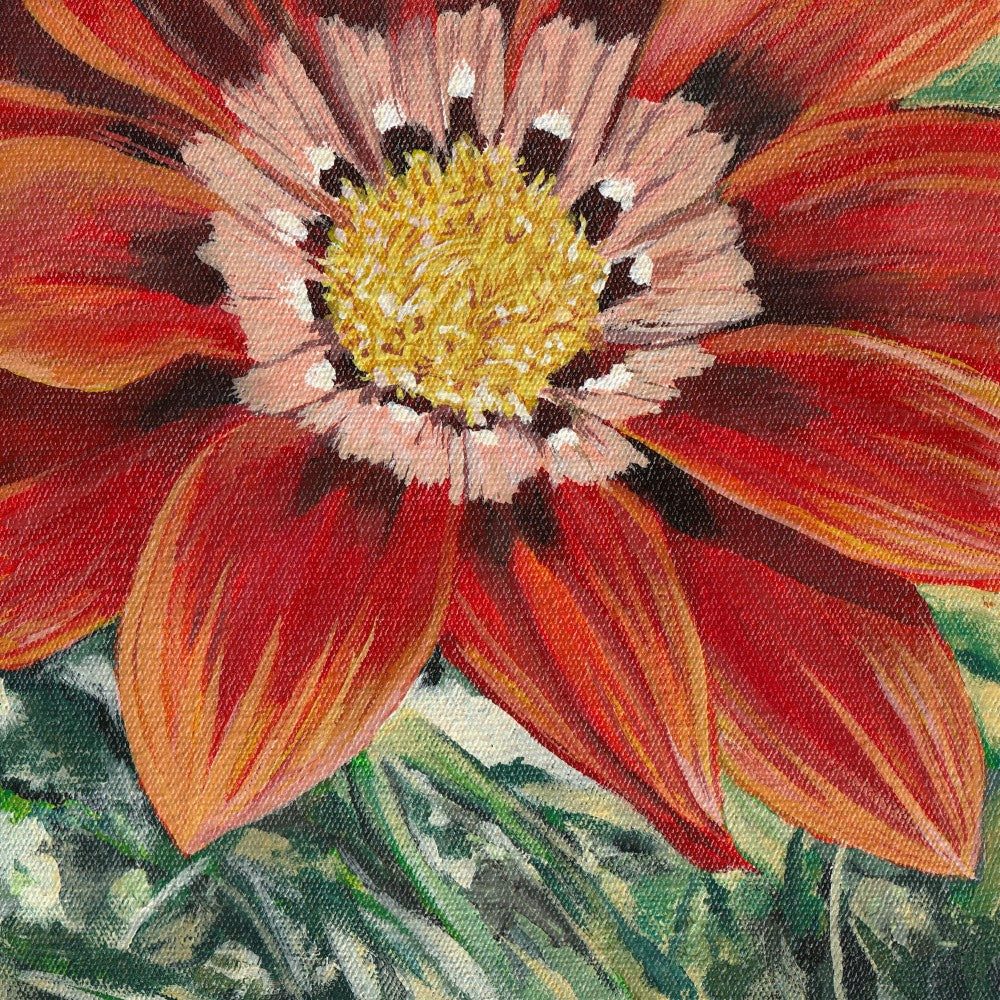 Gazania 2 By Viccy Wanliss