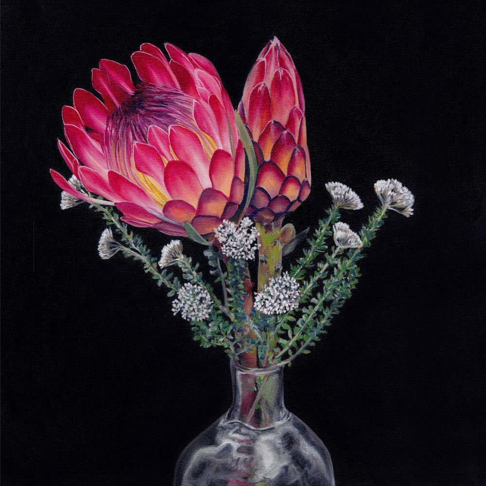 Protea and Blombos By Viccy Wanliss