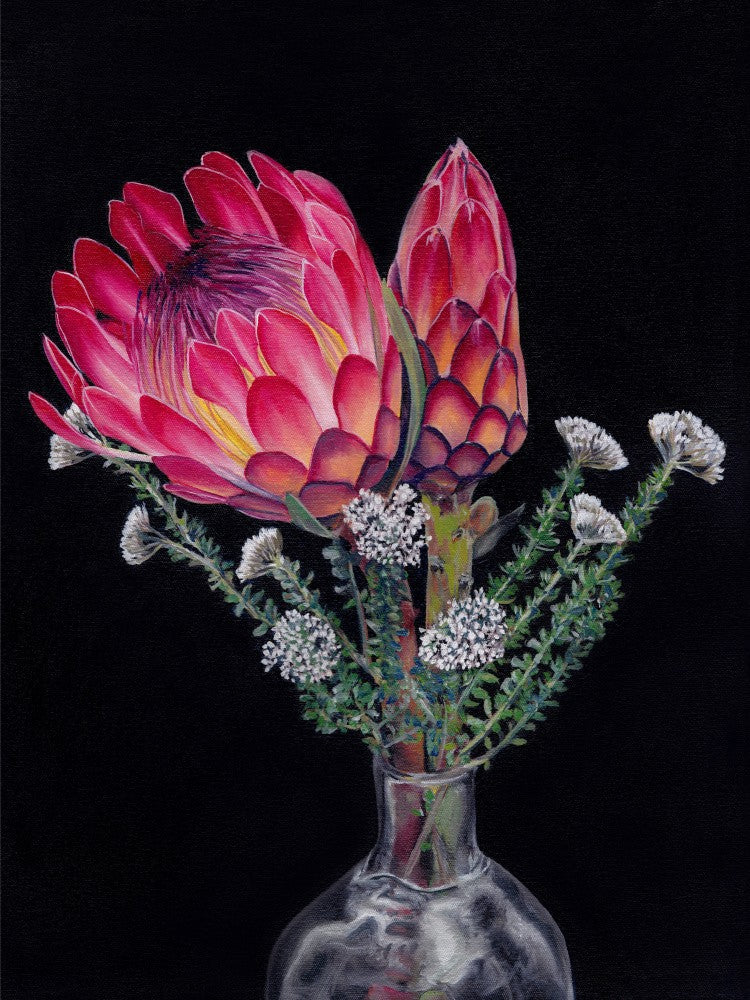 Protea and Blombos By Viccy Wanliss