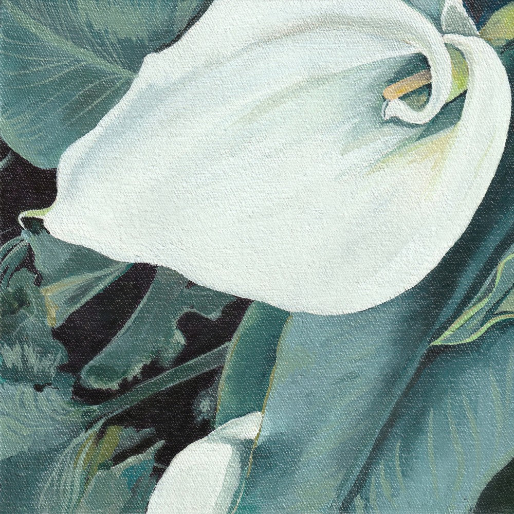 Small Arum 1 1x1 By Viccy Wanliss