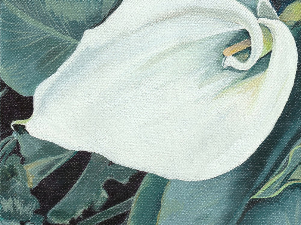 Small Arum 1 1x1 By Viccy Wanliss