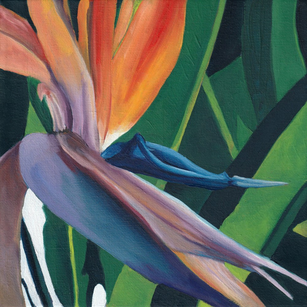 Stylized Strelitzia 1 By Viccy Wanliss