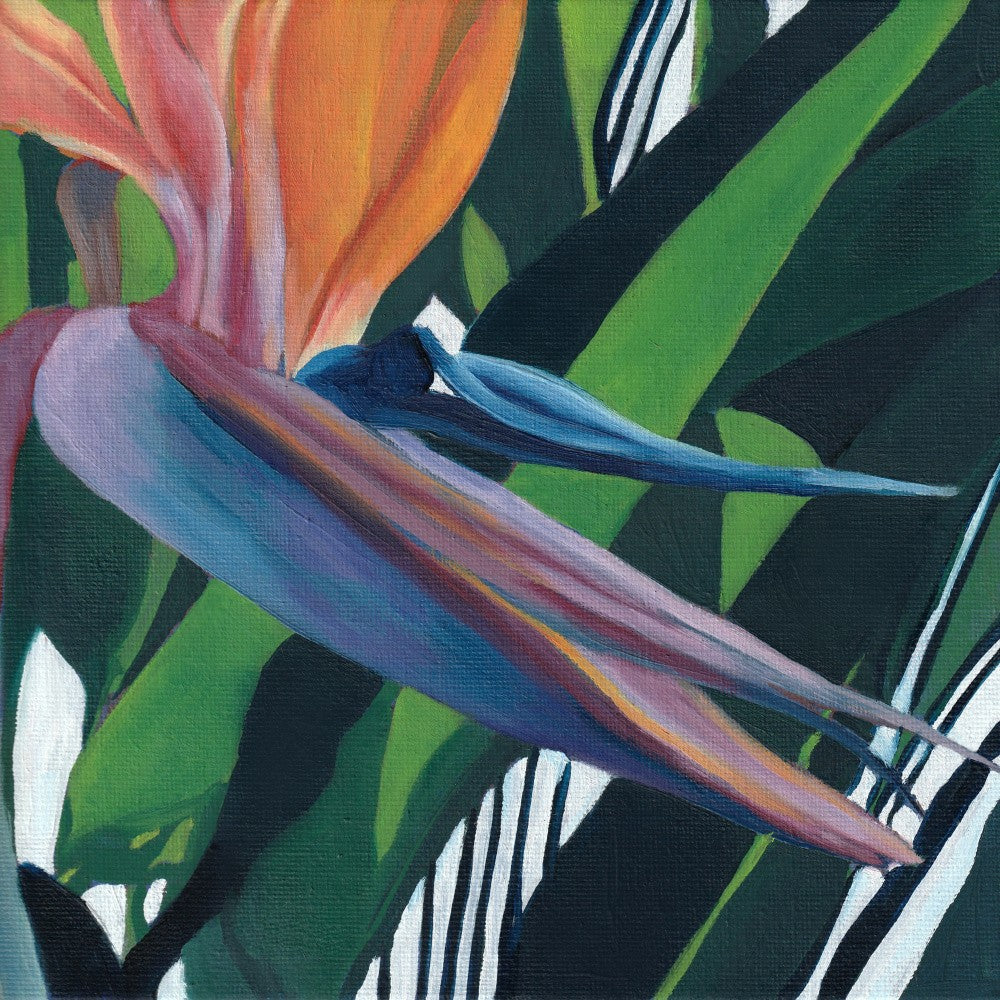 Stylized Strelitzia 2 By Viccy Wanliss