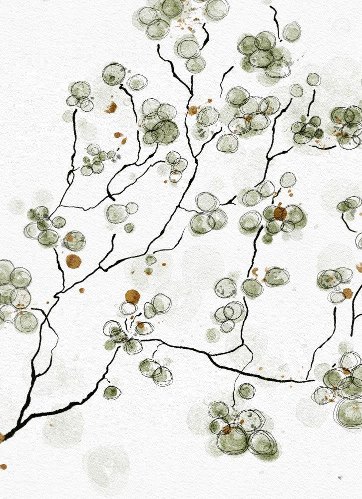 AUTUMN BERRIES