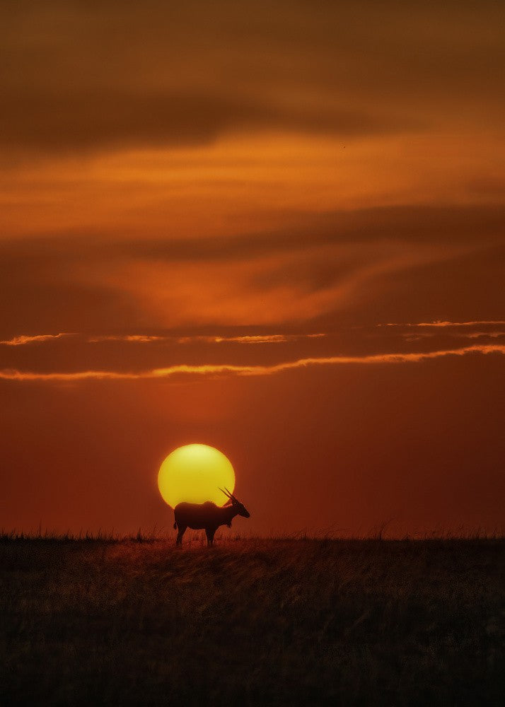 Strolling into Sunset