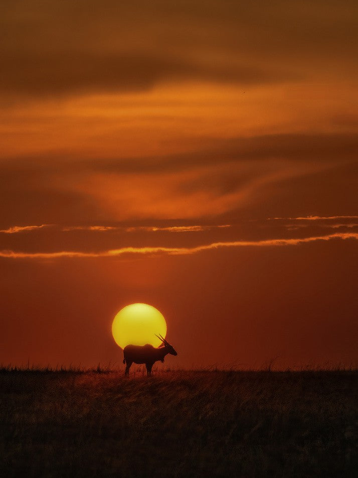 Strolling into Sunset